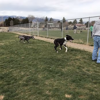 Link Piazzo Dog Park at Hidden Valley Regional Park photo 2